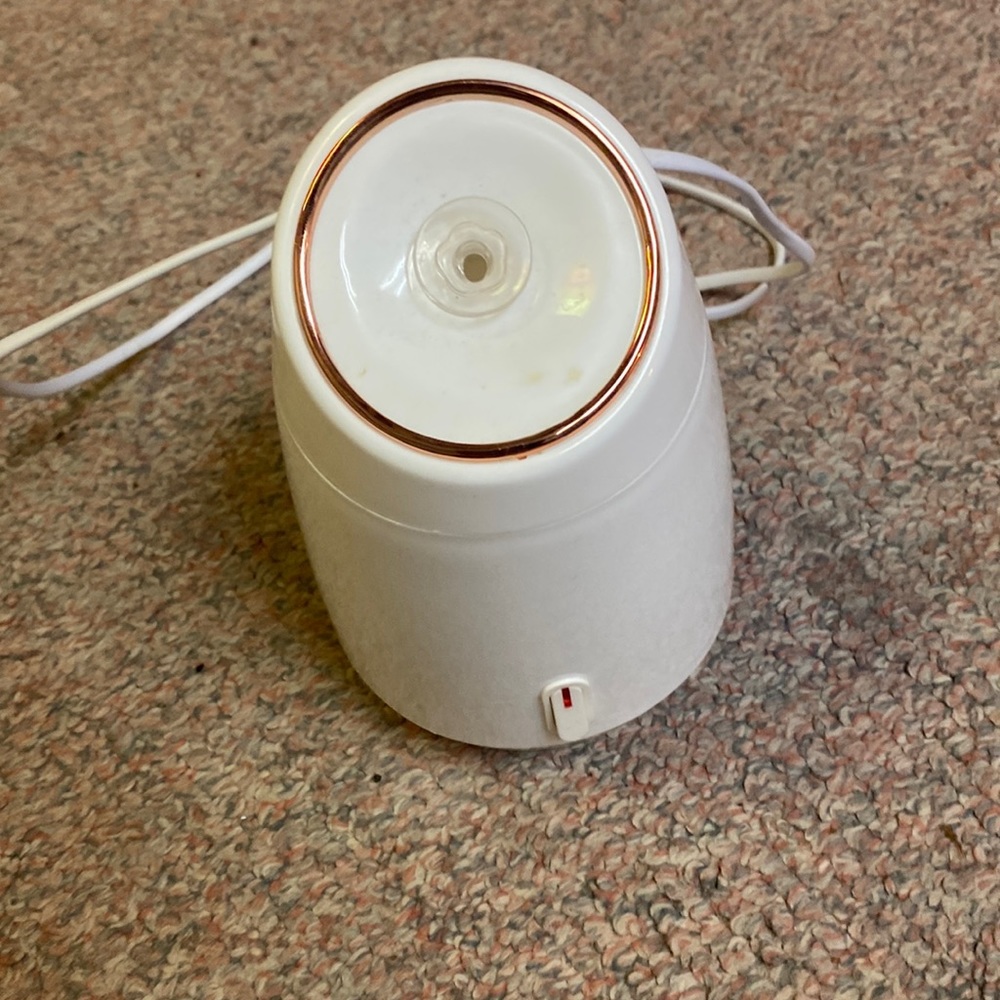 Mini face steamer